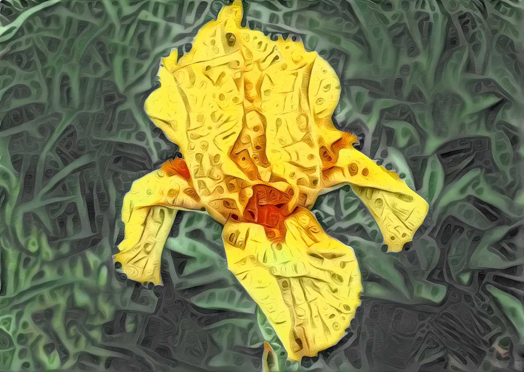 Yellow Iris