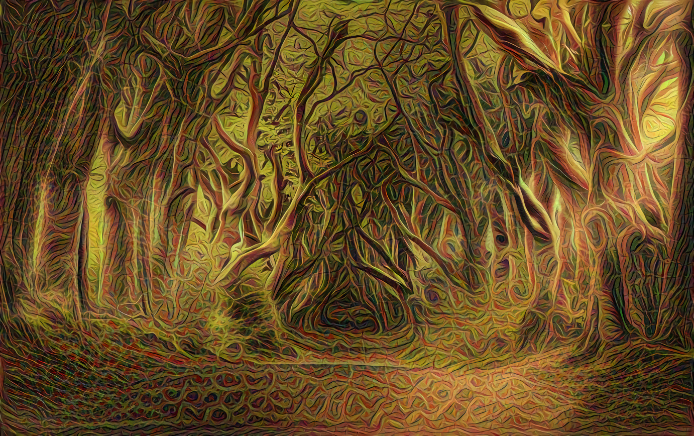 The Dark Hedges of Ireland