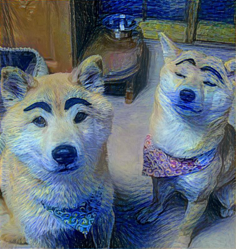 Star dogs with eyebrows