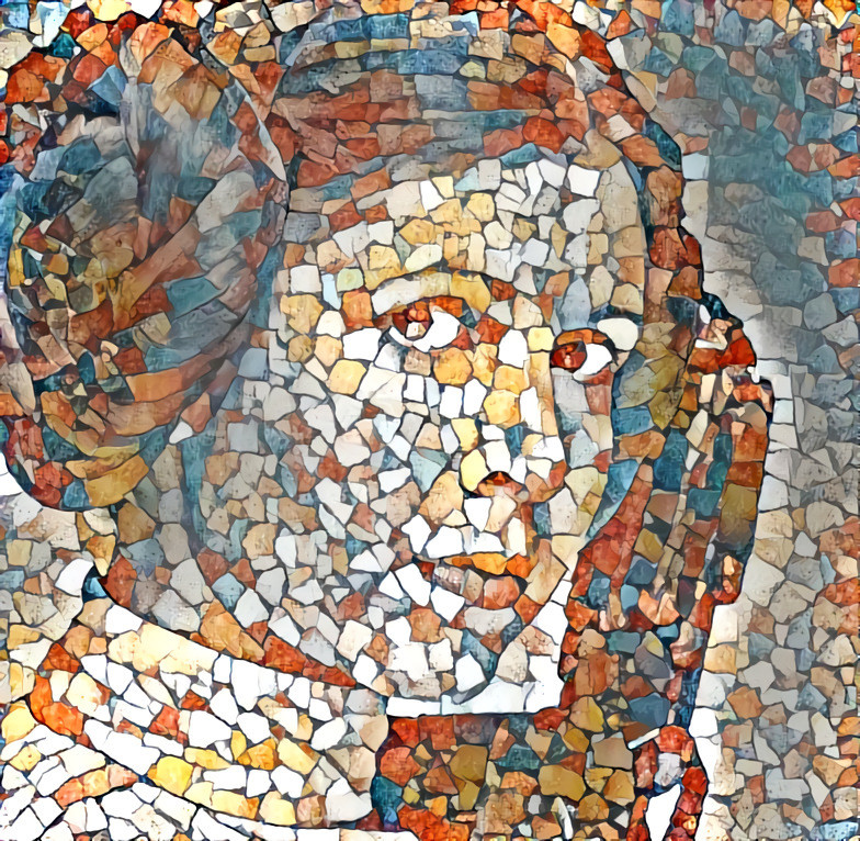 Leia_mosaic1