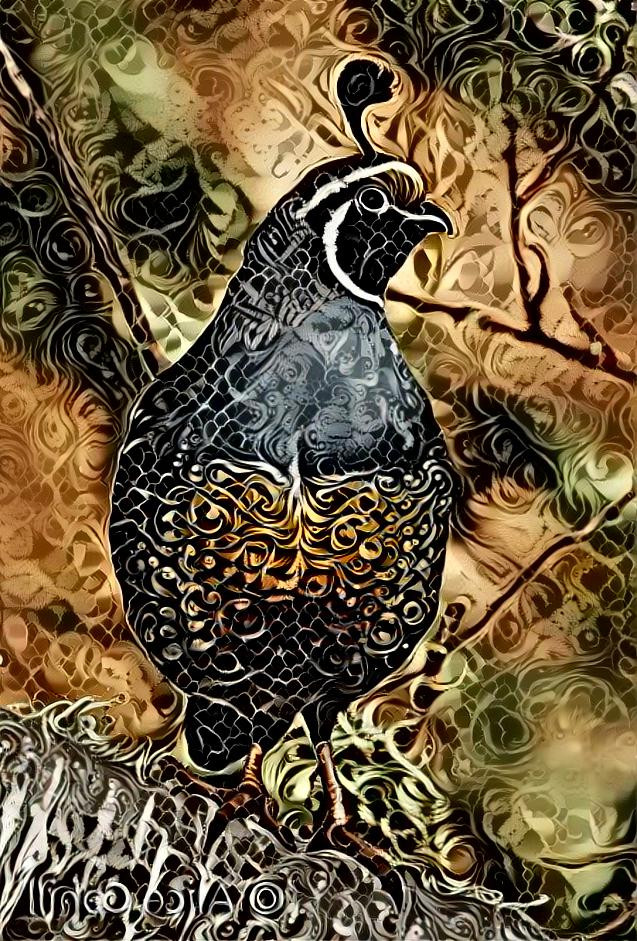 Quail