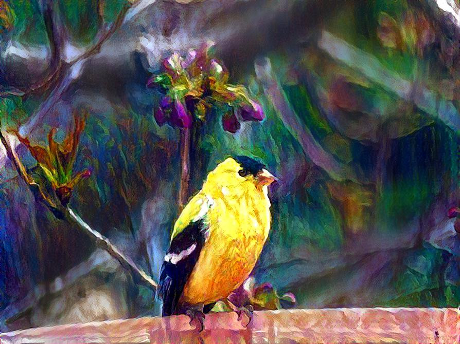 Thirsty Gold Finch in Front of Flowering Tree