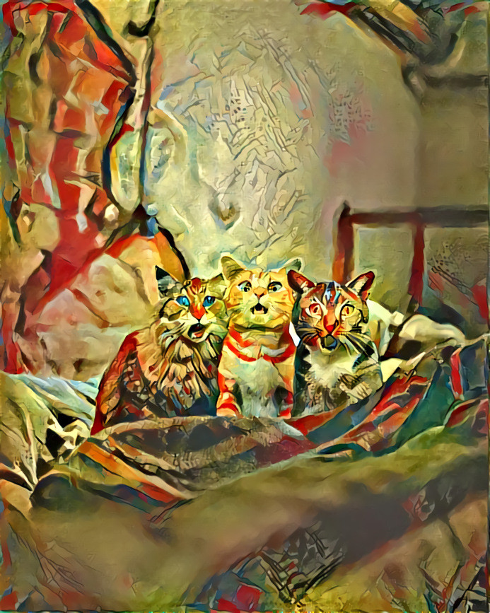 Cats 