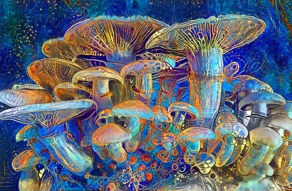 Magical Fungi