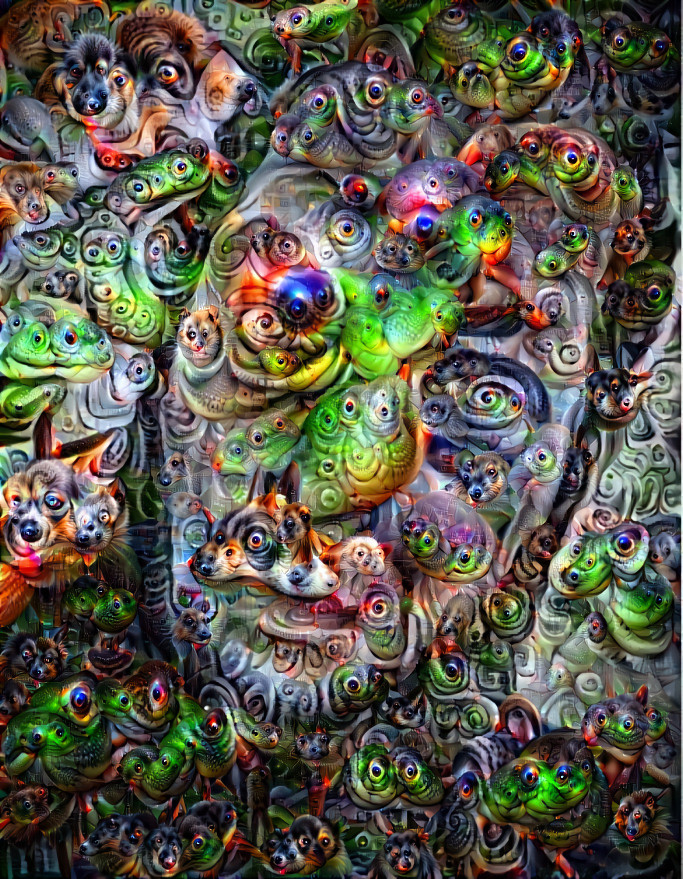 Dmt