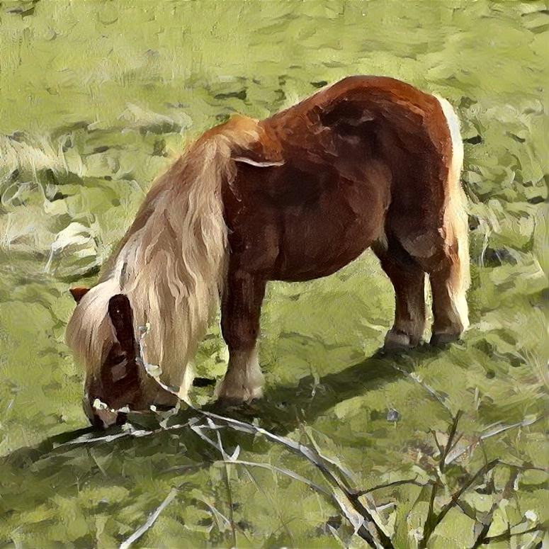 Pony in field