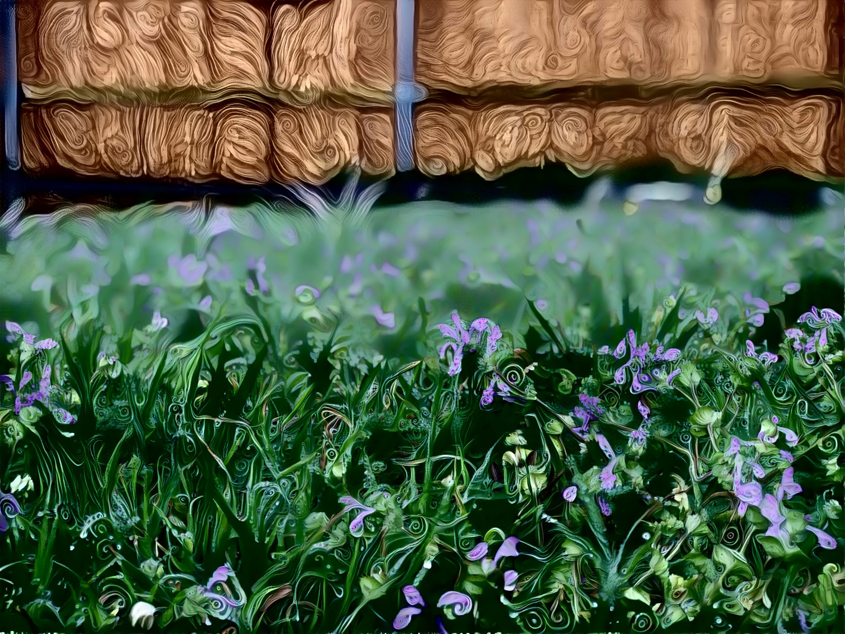 Cool Dark Swirl Blooms