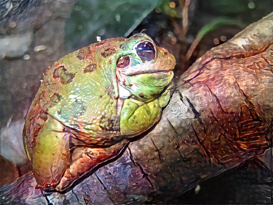 Frog on a Log