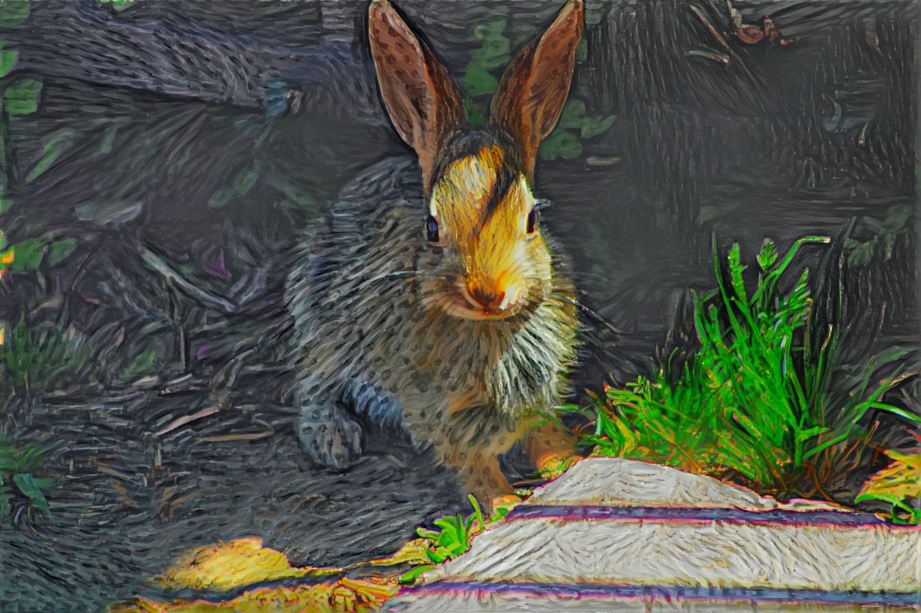 Wild Rabbit - Image 1