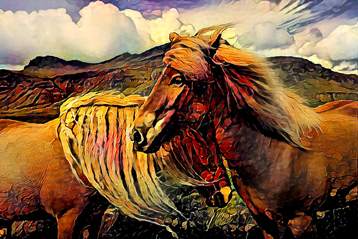 Redreaming Extinction Series: Icelandic Horses