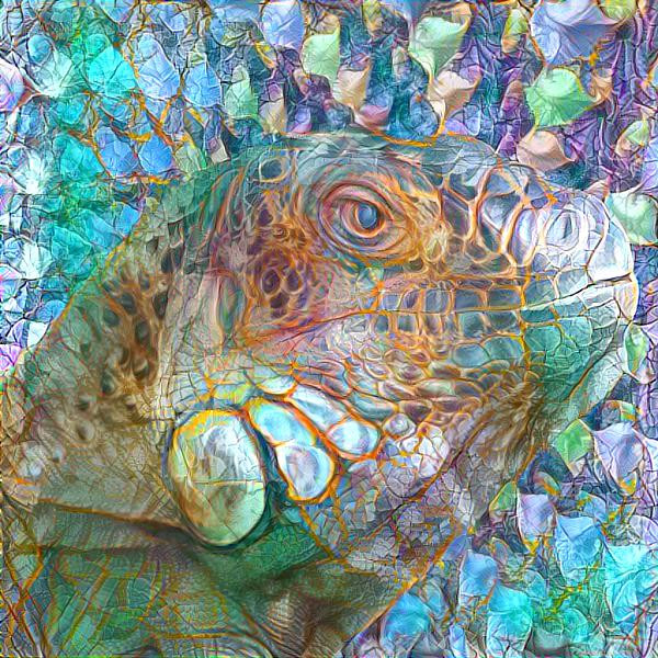 Iguana in Color 