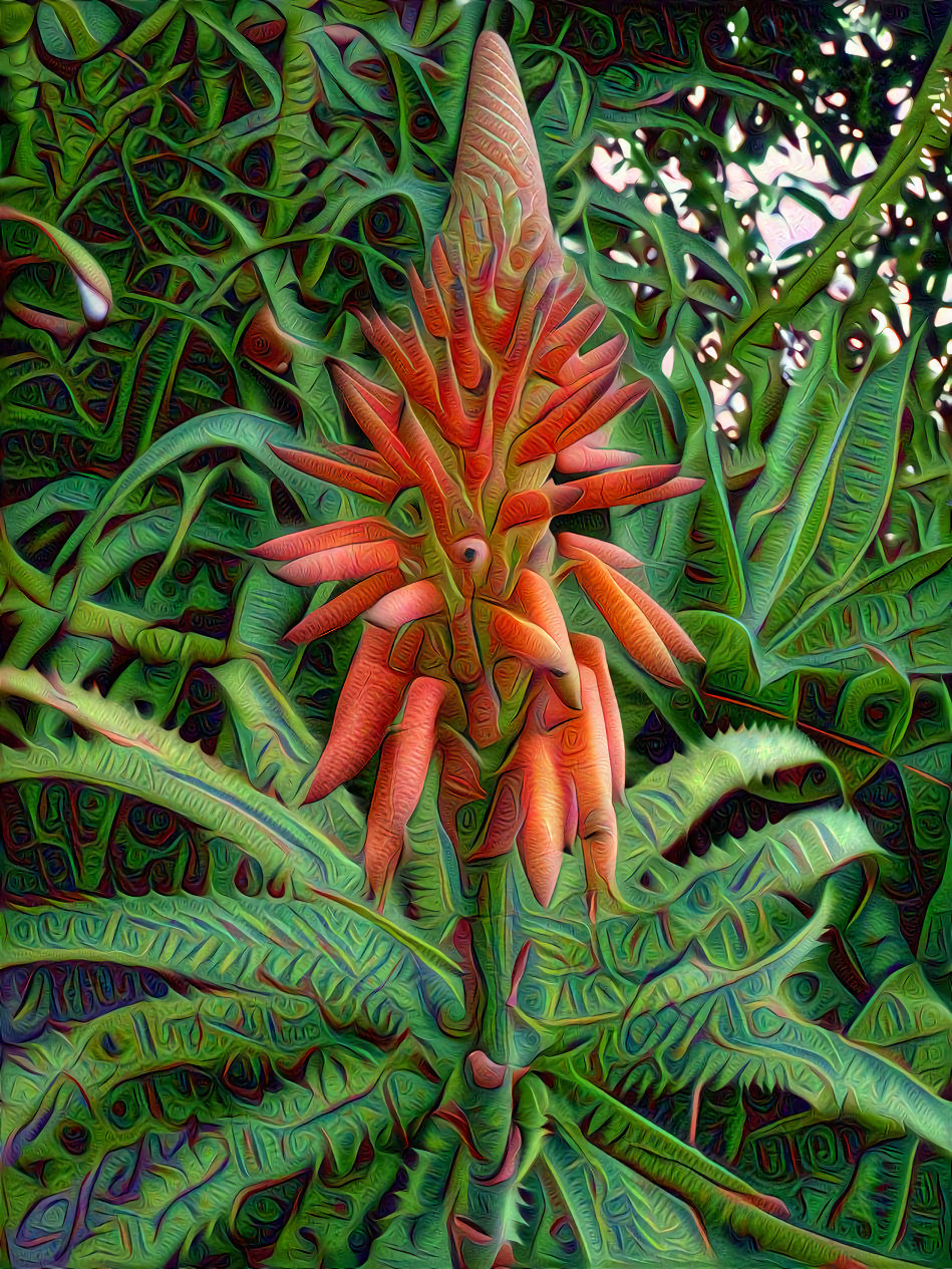 Tropical Red Plant