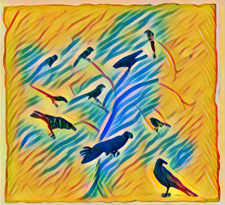 Birds