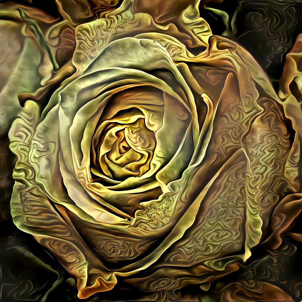 Golden Rose