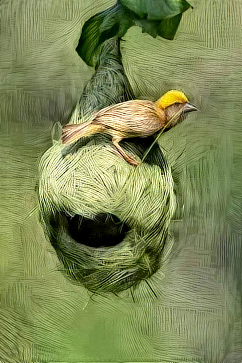 Knitted Nest