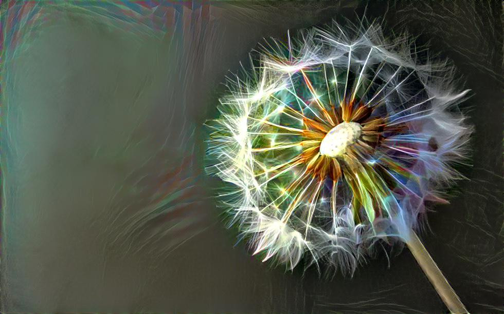 dandelion seed