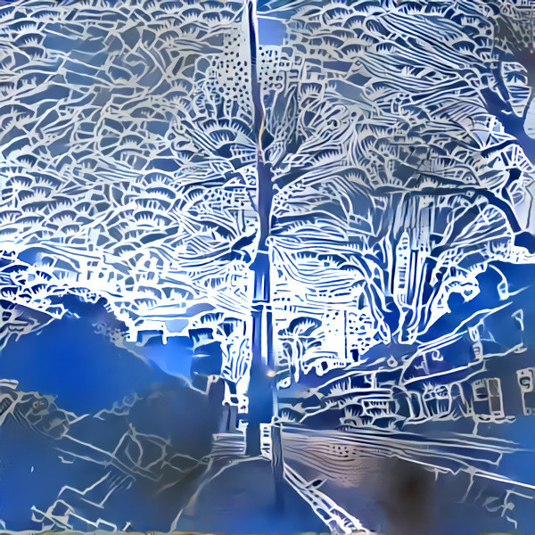 Blue trees