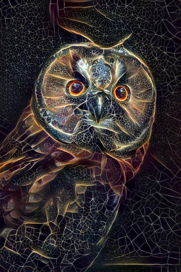 Starry Owl