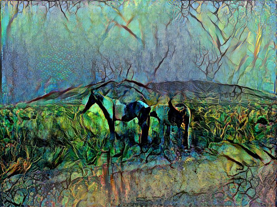 Horses3