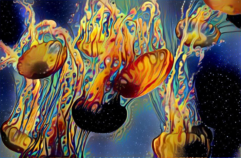 Jellyfish