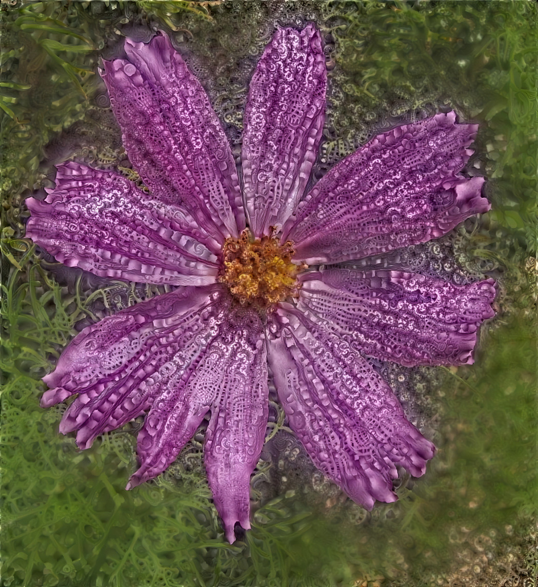 Purple Flower