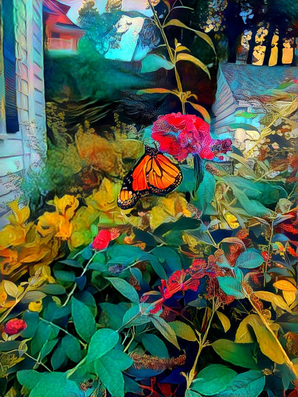 Butterfly