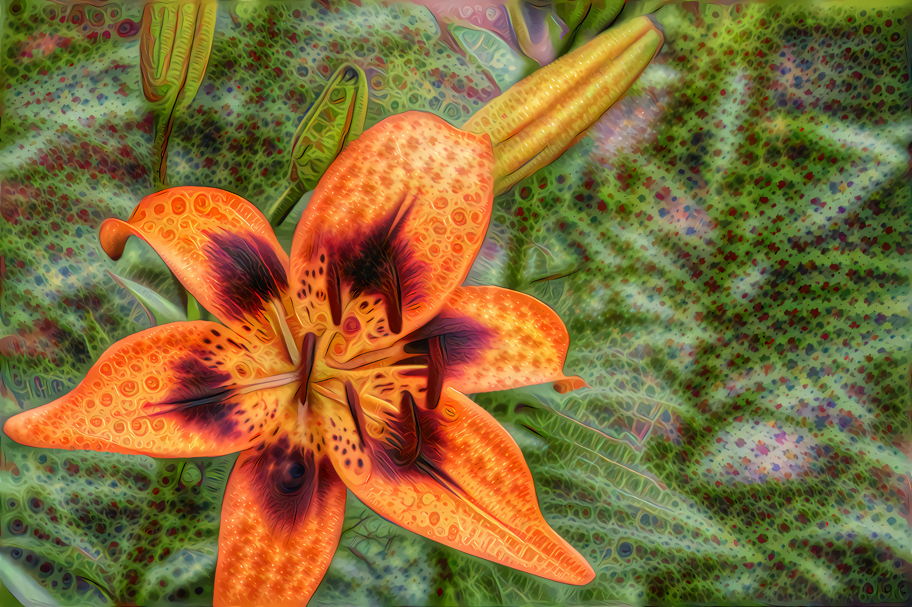 Orange Deep Red Lily