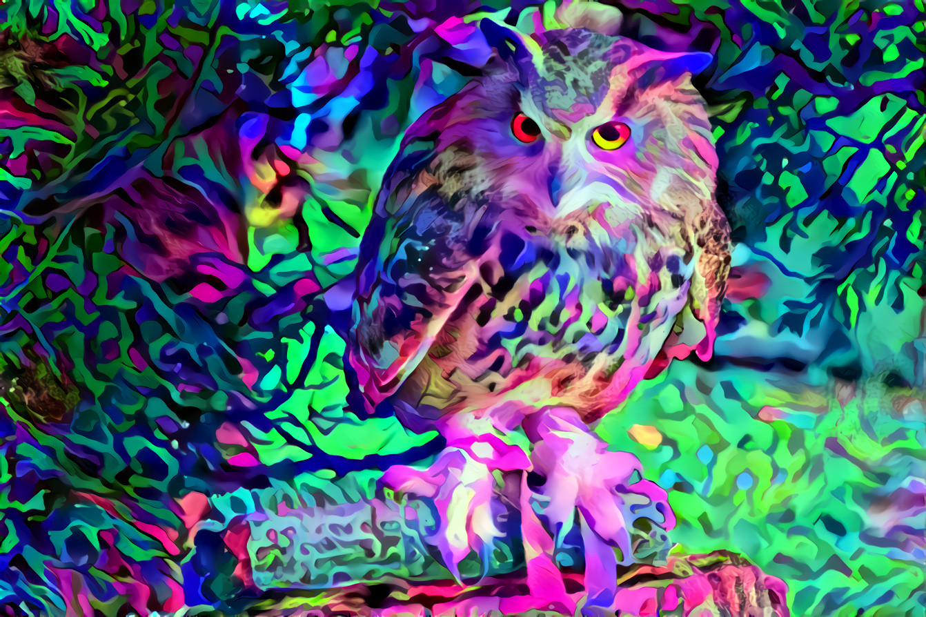 Vivid Owl