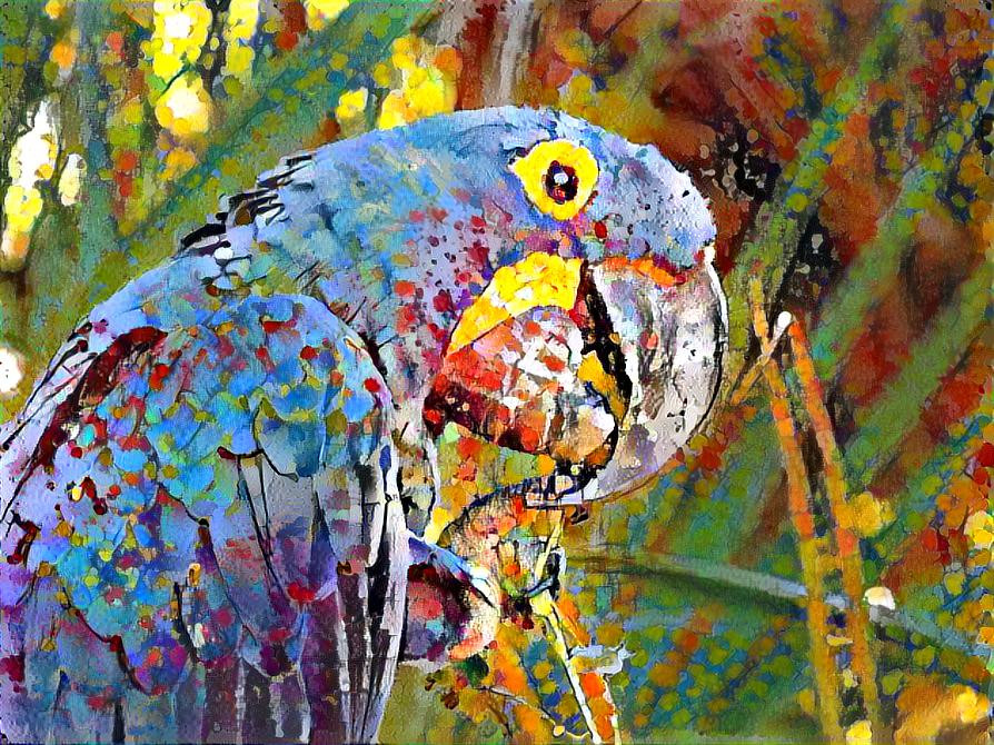 Color-pop Beautiful Parrot