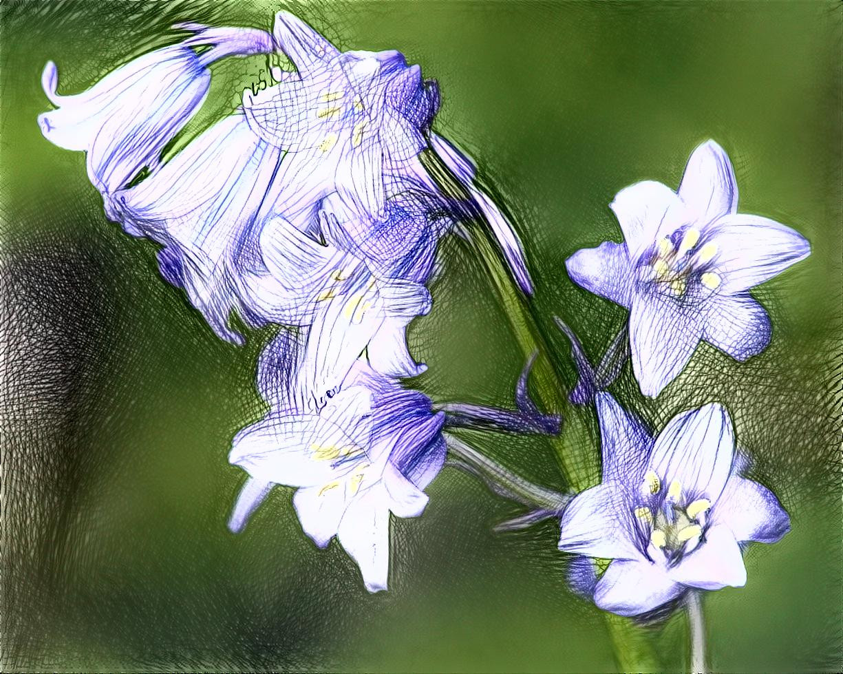 purple bells