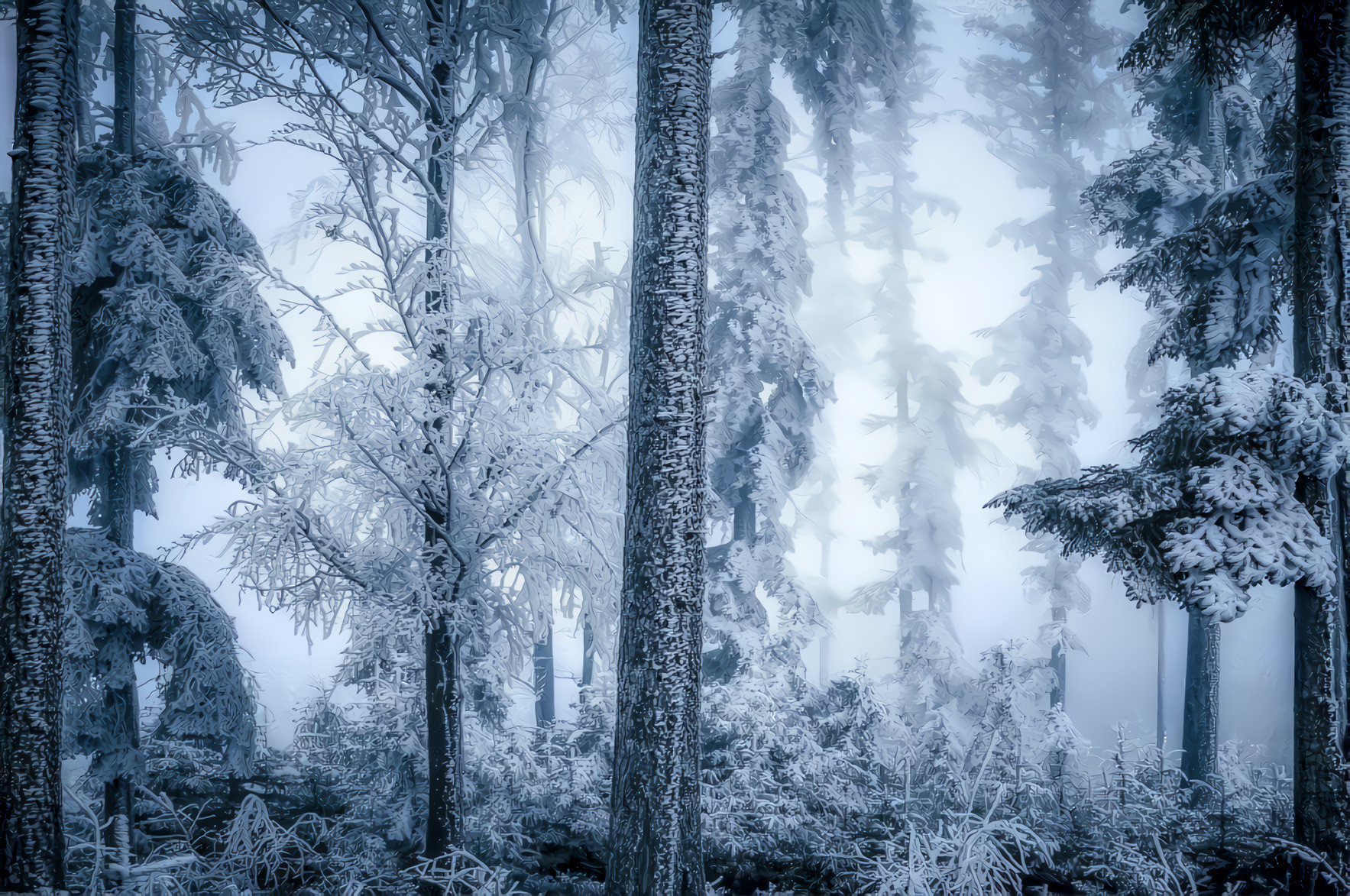 Winter Snow and Frost