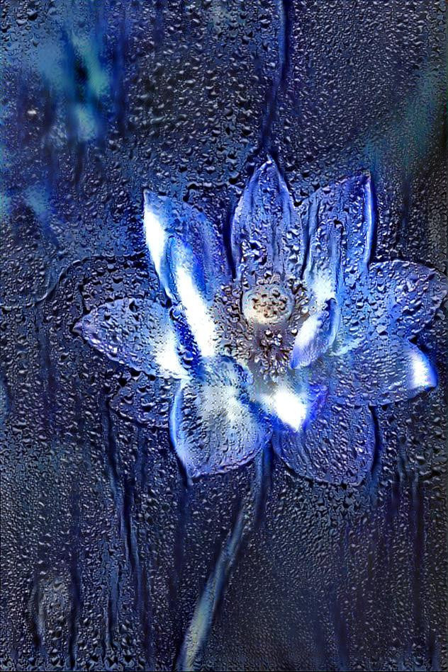 Blue lotus