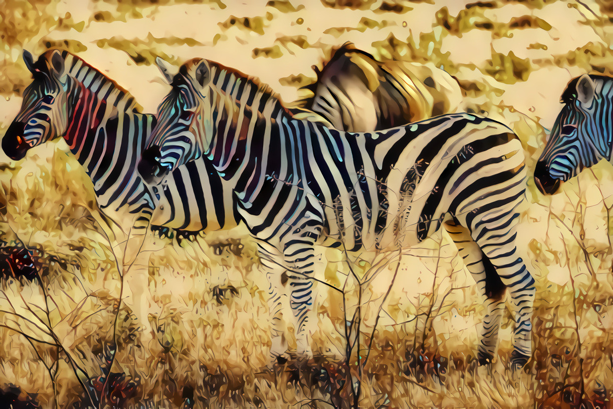 Bioluminescent Zebras in Etosha National Park