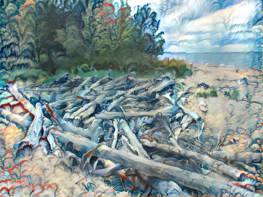 Driftwood at First Creek