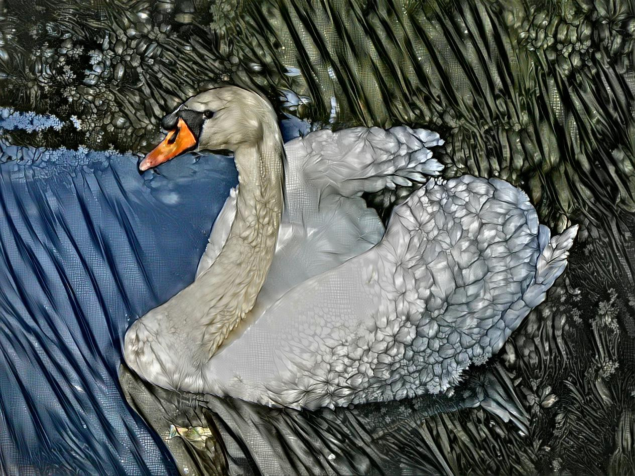 Swan