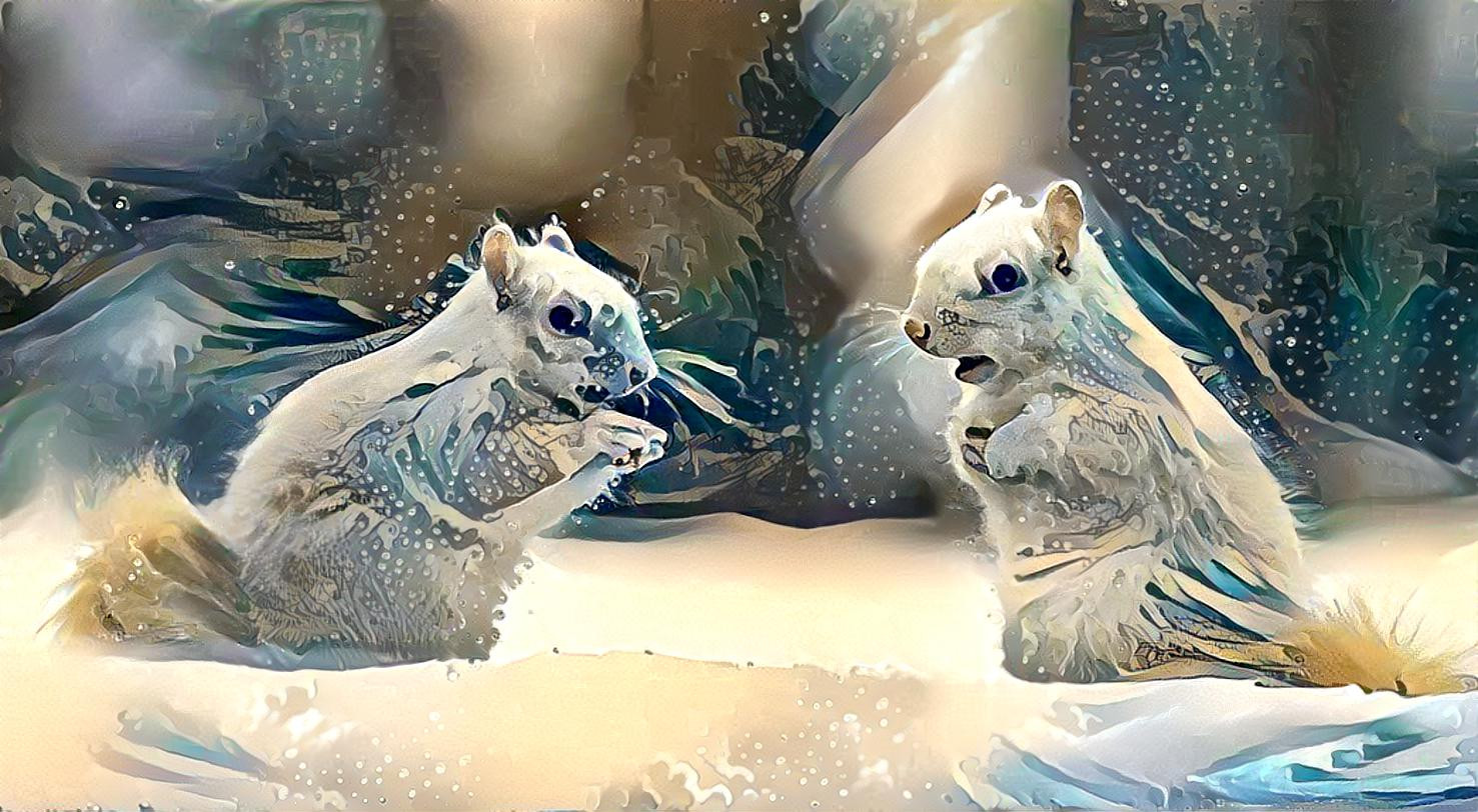 Snowsquirrels