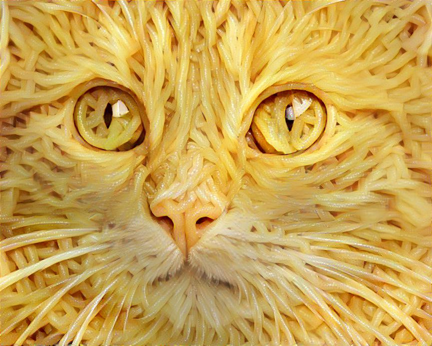 Cat love pasta