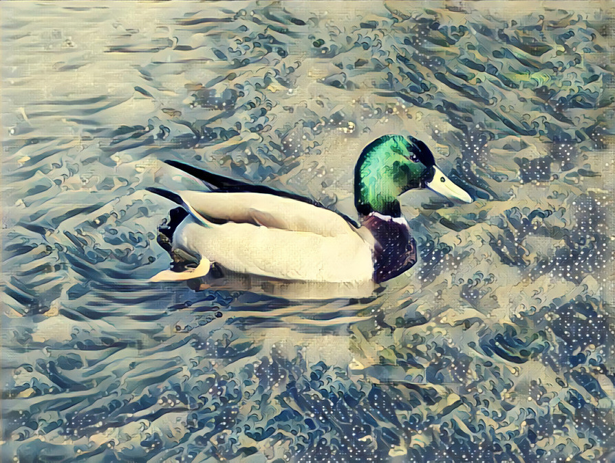 Canard