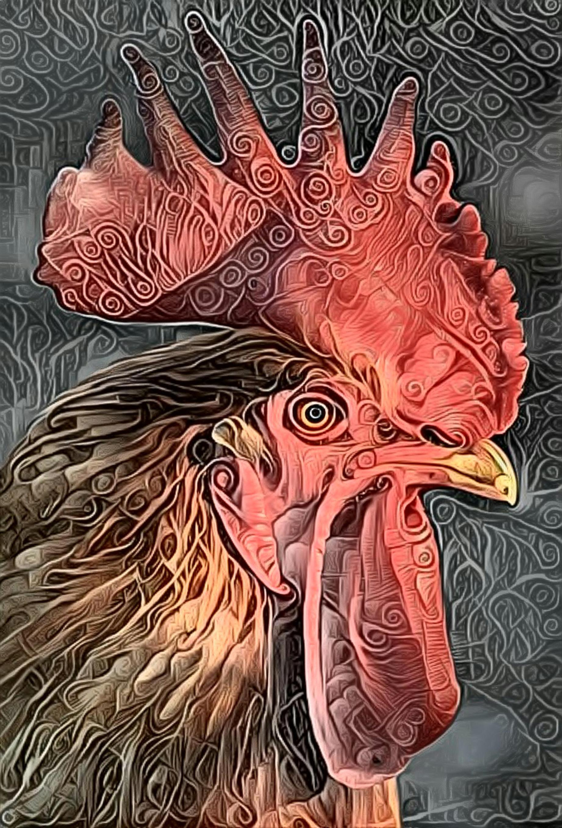 Rooster Swirl