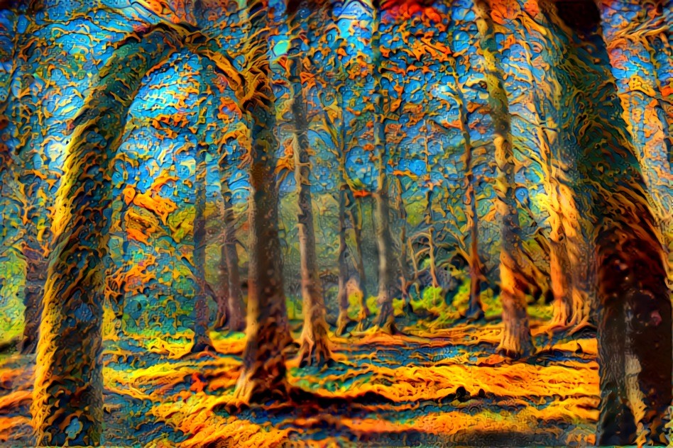 HDR Forest