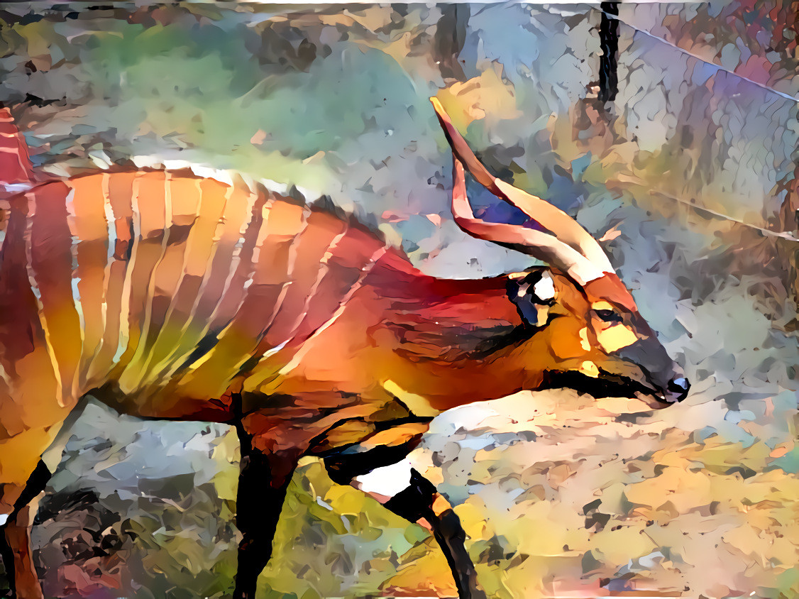 Eastern Bongo