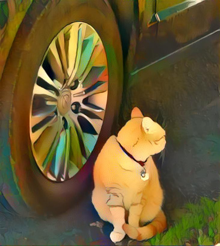 ORANGE CAT BY TIRE