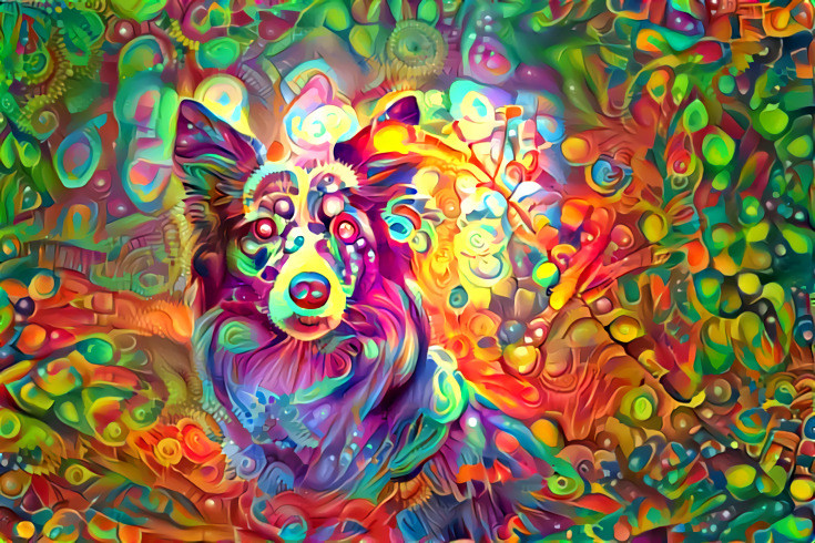 Abstract Dog