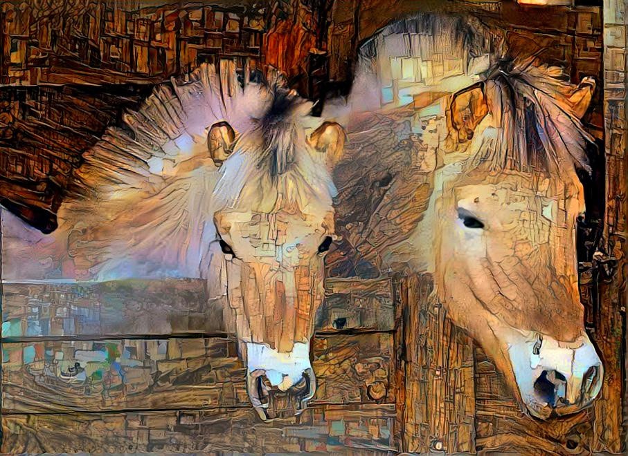 horses