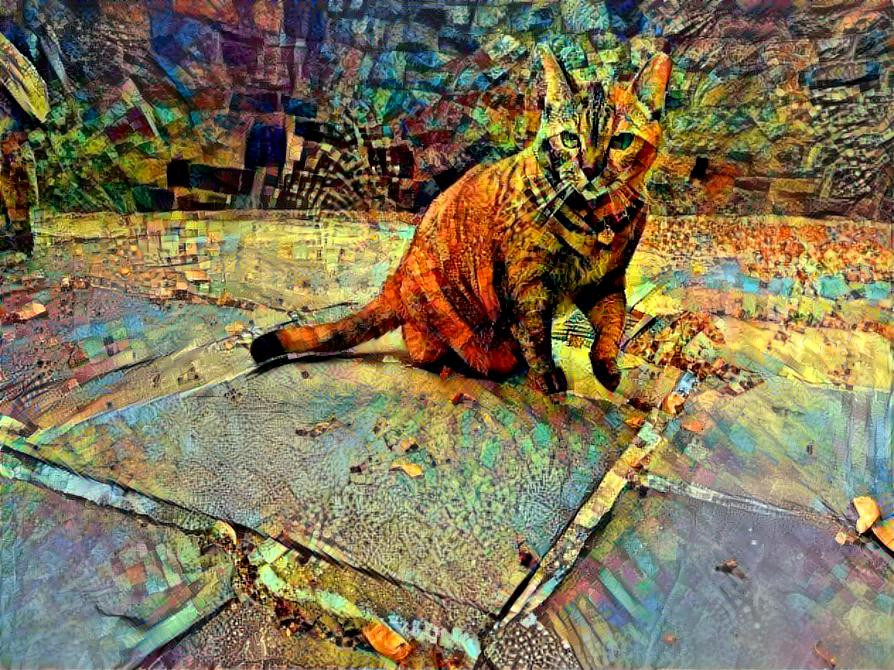 Trippy Cat 2