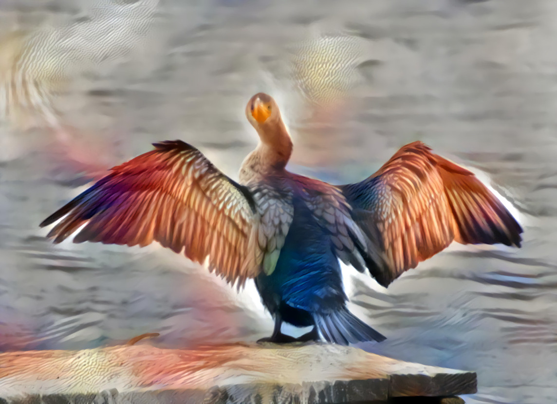 Double-crested Cormorant @ Sliver Lake