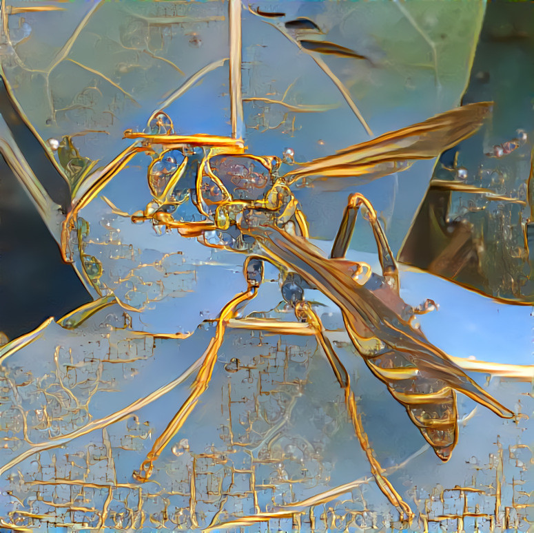 Goldwasp