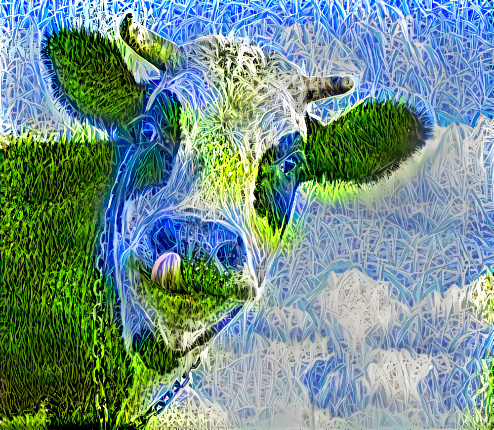 Cow Dreams