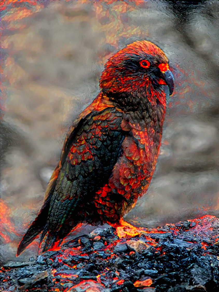 Kea