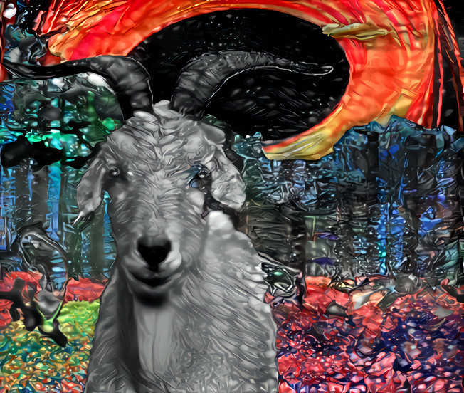 blackhole travelling goat 